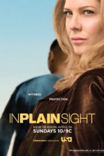 Watch In Plain Sight Freemovieswatch